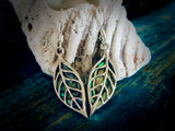 #111 Paua Back Leaf Earrings