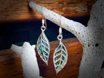 #111 Paua Back Leaf Earrings