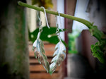 #112 Silver Feather Earrings